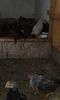 20160430_152833