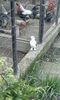 20160430_153503