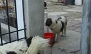 20160430_153346