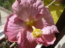 P1260103