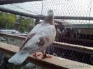 IMG_20160422_170953