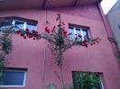 IMG_20160428_202231