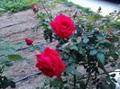 IMG_20160428_202420