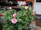 IMG_20160501_191435