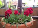 IMG_20160501_191510