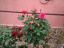 IMG_20160501_191114