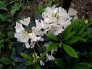 IMG_20160501_190507