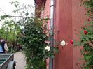 IMG_20160501_191138