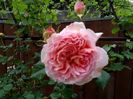 IMG_20160501_191219