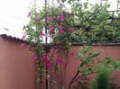 IMG_20160501_190846