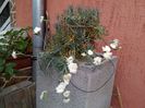IMG_20160501_190730
