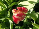 IMG_20160427_180633