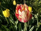 IMG_20160427_180654