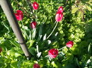 IMG_20160427_181444