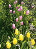 IMG_20160427_181549