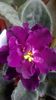WP_20160501_18_56_18_Pro