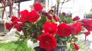 20160424_112202