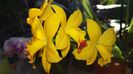 20160327_093207