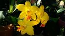 20160327_093230