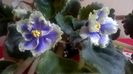 WP_20160502_11_37_43_Pro