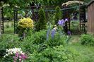 Perennial garden