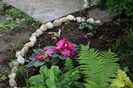 Shadow garden