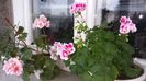 20160429_134955