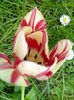 IMG_20160502_133336