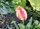 IMG_20160427_180223