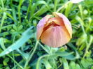 IMG_20160427_180302
