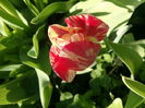 IMG_20160427_180639
