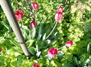 IMG_20160427_181446