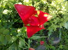 IMG_20160427_181638