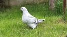 20160430_141531