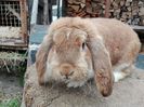 IMG_20160502_144040