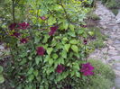 DSC09679
