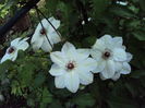 DSC09640