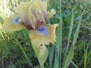 20160423_073742