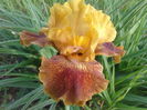 20160503_073928