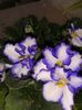 20160426_122016