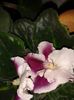 20160426_122033