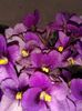 20160426_122051