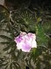 20160427_185524