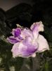 20160427_185535