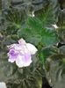 20160502_124707