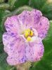 20160503_095222