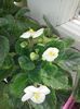 20160503_095243