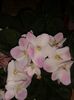 20160503_100456