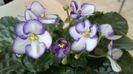20160406_114206