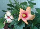 20160503_101546